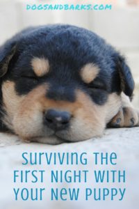 Surviving the First Night with Your New Puppy