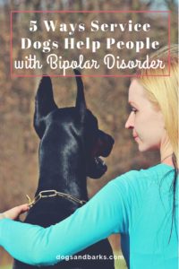 5 Ways Service Dogs Help People with Bipolar Disorder