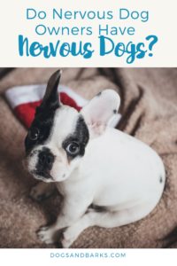 Do Nervous Dog Owners Have Nervous Dogs?