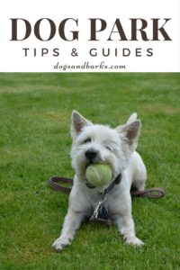 Dog Park Tips & Guides
