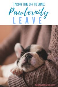 Pawternity Leave