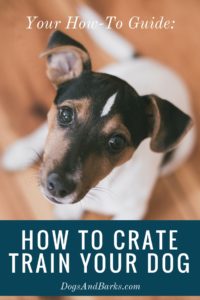 How to Crate Train Your Dog