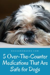 5 Over-The-Counter Medications That Are Safe for Dogs