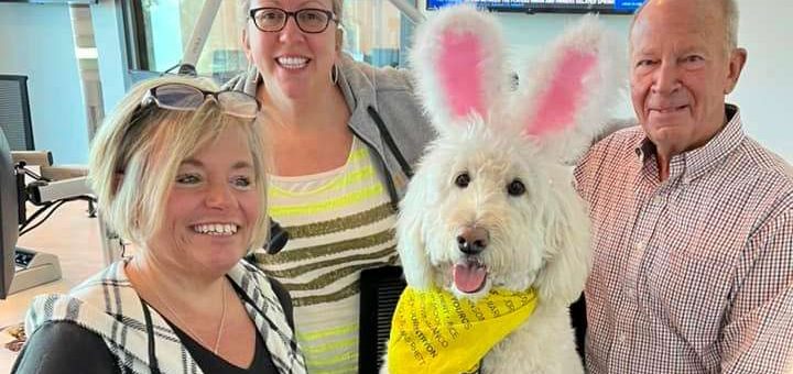 Annie Rose is this years Cadbury Bunny