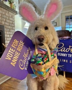 Annie Rose is this years Cadbury Bunny