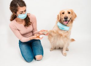 Can Dogs Get COVID?