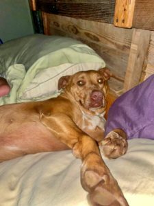 Nala
