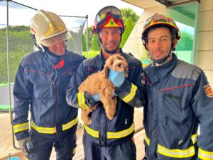 Firefighters in Madrid, Spain rescue a puppy