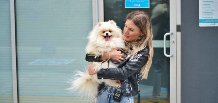 Ukraine dog arrives in the US