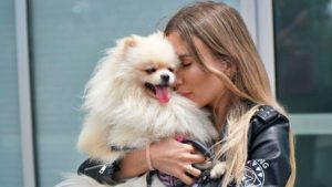 Ukraine dog arrives in the US