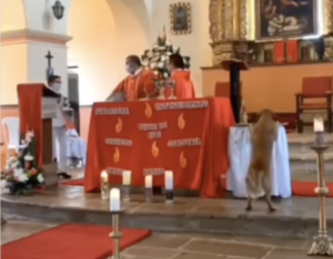 Funny Dog Incident gets Church Goers Laughing Out Loud