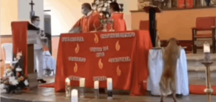 Funny Dog Incident gets Church Goers Laughing Out Loud