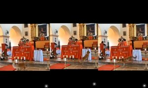Funny Dog Incident gets Church Goers Laughing Out Loud