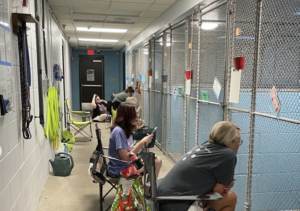 Volunteers Give Up 4th Of July To Calm Kentucky Humane Society Animals