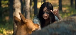 Coco the American Dingo plays Sarii in Prey