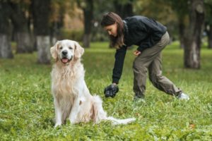 Dog Poop News: Woman Gets Terribly Sick After Poop Got In Her Mouth