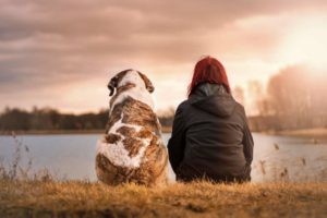 Canines suffer separation anxiety disorder
