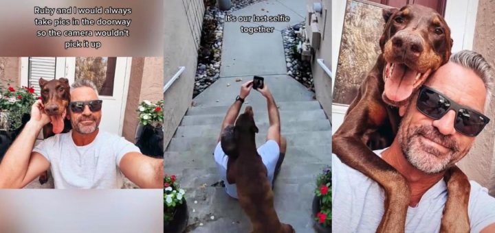 Ring doorbell video captures Ruby the Doberman and her owner in their last selfie on TikTok