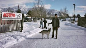 The Year of the Dog