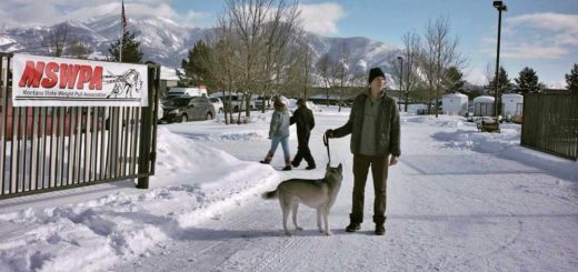 The Year of the Dog
