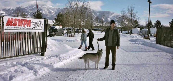 The Year of the Dog