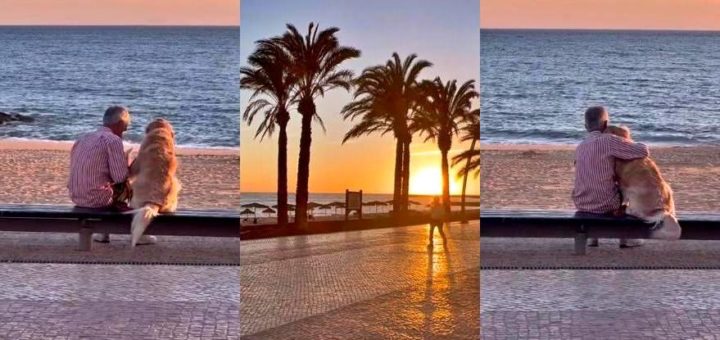 TikTok creator cries in viral video of man and dog watching the sunset