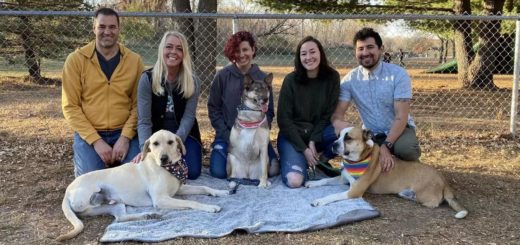 Three dog pals rescued by Ruff Start Rescue