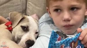 Six-year-old boy wrote letters to a foster dog's new family