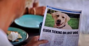 Netflix movie Dog Gone