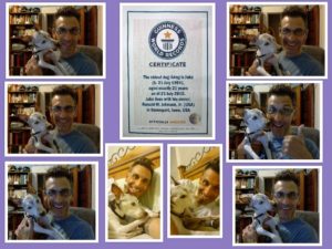 Previous holder of the Guinness World Record for oldest living dog