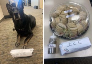 Officer Ice cleared of all charges, given lunch