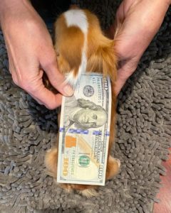 Measuring Pilaf with a dollar bill