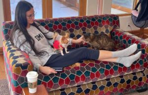 Demi Moore considers submitting her Chihuahua as world's shortest dog